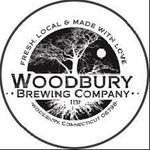 Pulse live At Woodbury Brewing - Woodbury CT
