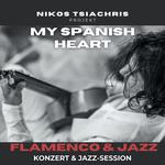 My Spanish Heart #14