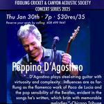 Peppino D'Agostino live in concert