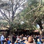 Blue Mother Tupelo, Alvin Youngblood Hart, Papa Mali, Cary Hudson & Katrina Miller at The Frog Pond Sunday Social