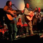 Dead Honey Collective