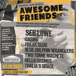 Chris Hawkins presents Awesome Friends