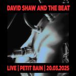 David Shaw And The Beat @ Petit Bain Paris