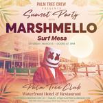 Marshmello @ Palm Tree Club Miami