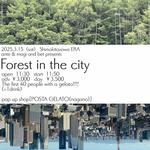 Forest in the city