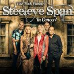 Steeleye Span In Concert