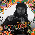 The Wailers @ Boomtown Festival - Hampshire, UK