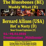 Muhlhauser Blues Tage 2025