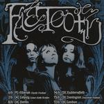 Faetooth EU Tour