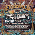 Everwild Music & Arts Festival 2025