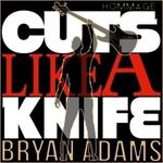 Cuts Like A Knife (Bryan Adams Tribute)