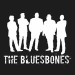 Blues Night :The BluesBones + Black Cat Biscuit