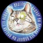 HAVE YOU SEEN THIS CAT?