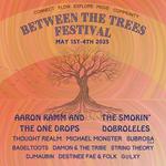 Between The Trees Festival 2025