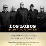 Los Lobos @ Belgium Rhythm & Blues Festival