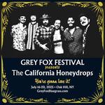 Grey Fox Bluegrass Festival 2025