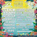 Levitate Music and Arts Festival 2025