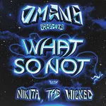 What So Not