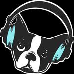 Snarky Puppy