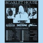 Homecoming Tour 2025