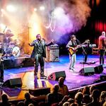 The Retro Festival with The Average White Band