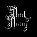 Metal Mustang