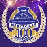 𝑴𝒖𝒔𝒊𝒄 𝑰𝒏 𝑻𝒉𝒆 𝑷𝒂𝒓𝒌: featuring The Stone Blossoms