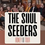 THE SOUL SEEDERS @ Le Dianetum - Anet (28)