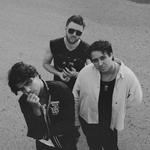 The Thing With Feathers