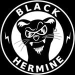 Black Hermine