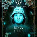 Tomorrowland Brasil