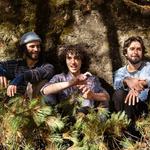 Moondogs