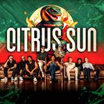 Citrus Sun