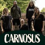 Carnosus