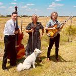 Hot Club of Cowtown