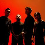 REVENGE THE FATE