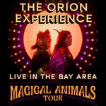 The Orion Experience