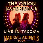 The Orion Experience- Album Release Show