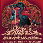 A Place To Bury Strangers | Asheville, NC