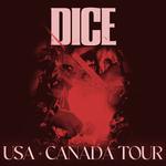 DICE @ San Dieago (US)