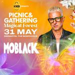 Picnic & Gathering Festival