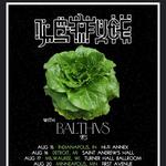 Lettuce With Support From Balthvs
