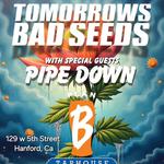 PLAN B TAPHOUSE - FREE BAD SEED SHOW IN HANFORD CA 