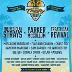 St. Pete Country Fest 2025