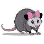Possum Fest 2025