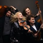 Bluegrass in La Roche 2025