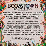 Boomtown Festival 2025