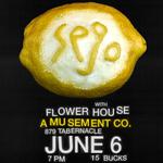 Sego w/ Flower House in St George