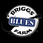 The Lachy Doley Group - Briggs Farm Blues Festival 2025 - Nescopeck, PA