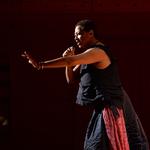Ms. Lisa Fischer & the Pannon Philharmoinc Orchestra